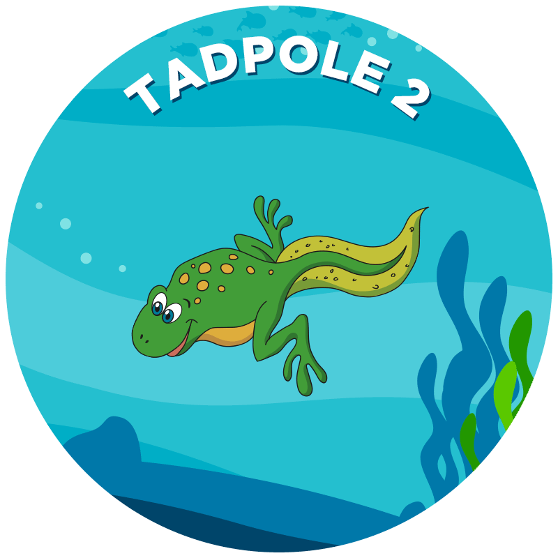 Tadpole 2