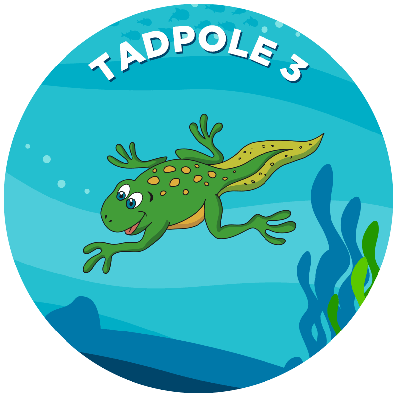 Tadpole 3