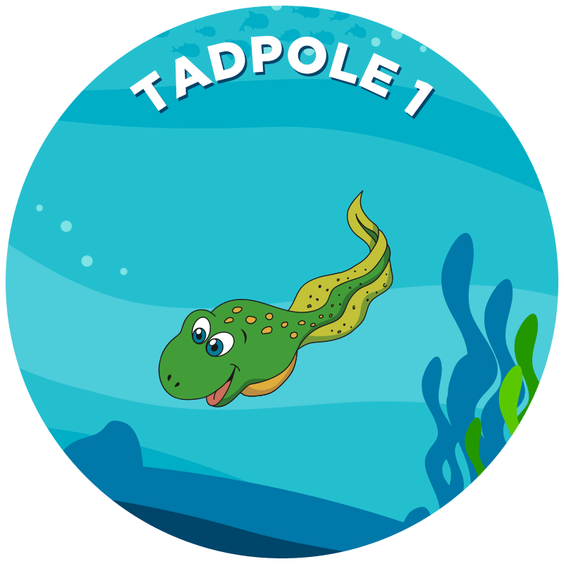 Tadpole 1